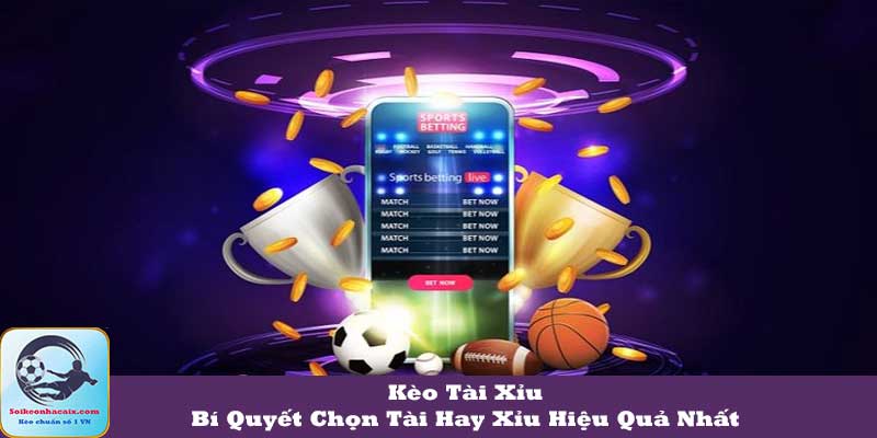Kèo Tài Xỉu – Bí Quyết Chọn Tài Hay Xỉu Hiệu Quả Nhất